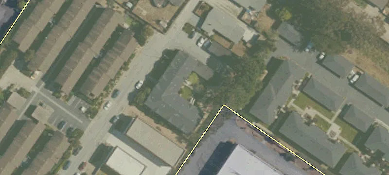 3157 Eucalyptus St