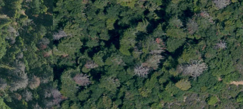 14080 Oat Gap Rd