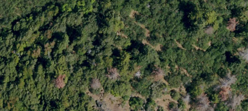 7114 Spyrock Rd