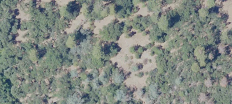 12786 Perimeter Rd