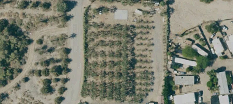 70810 Palm Is Dr