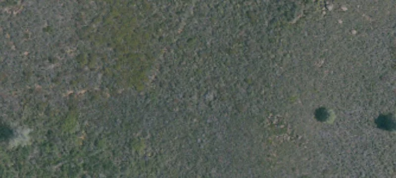 7632 Hwy 29