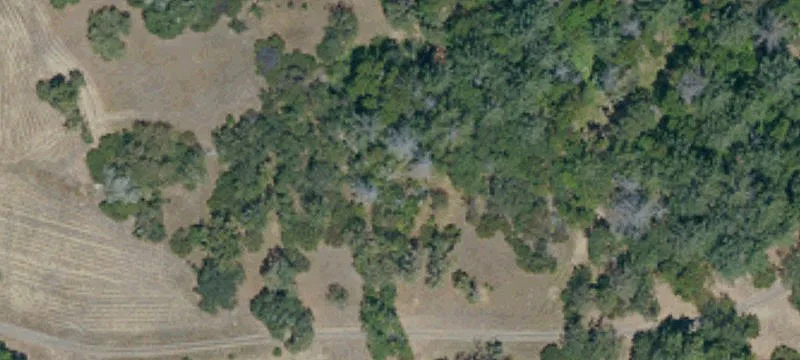 3691 Main Rnch Rd