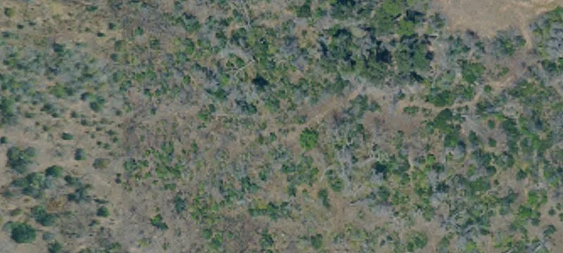 11950 Ww Rd