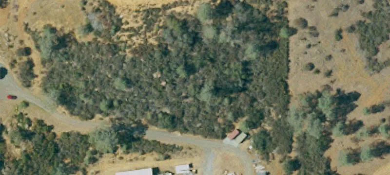 3831 Homestead Rd
