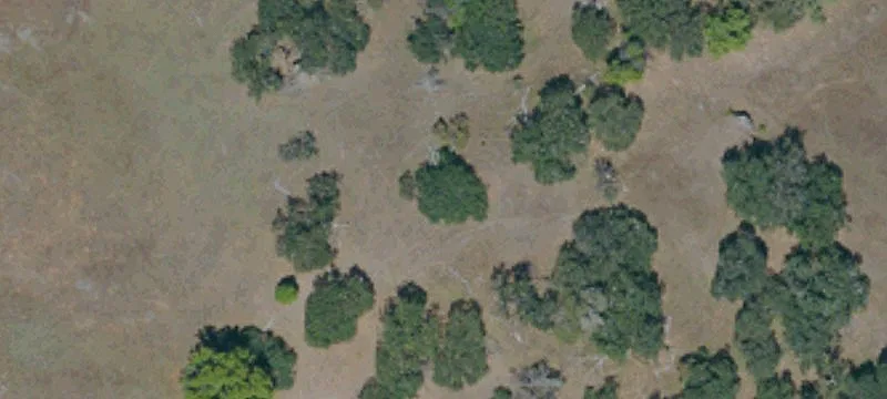 3201 Main Rnch Rd