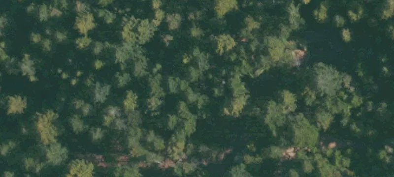 22201 Mtn Vw Rd