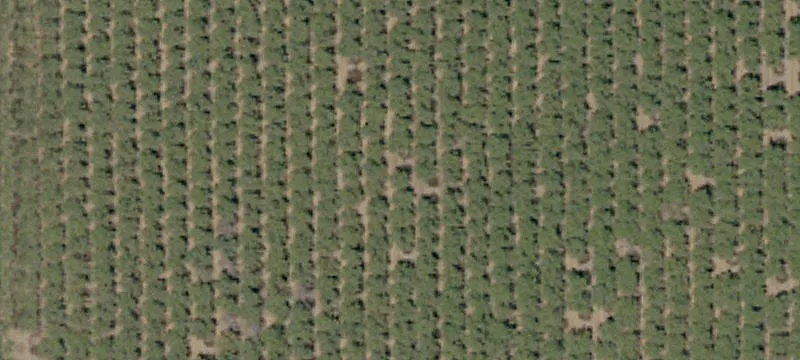 Chowchilla, CA 93610