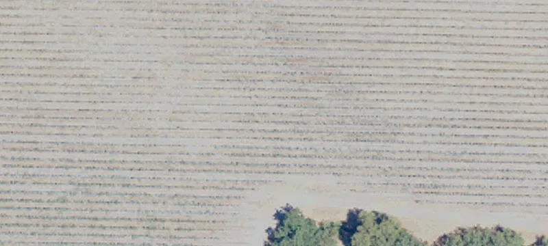 Zamora, CA 95698