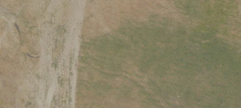 Lathrop, CA 95330