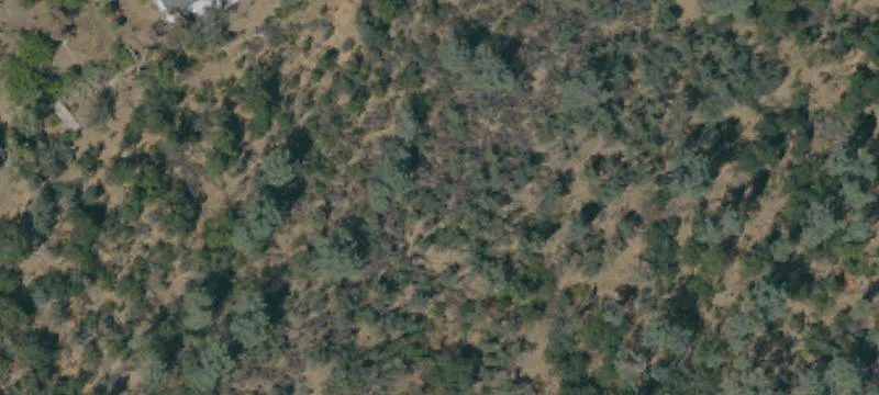 Redding, CA 96001