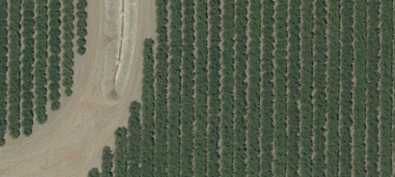 12550 Colorado