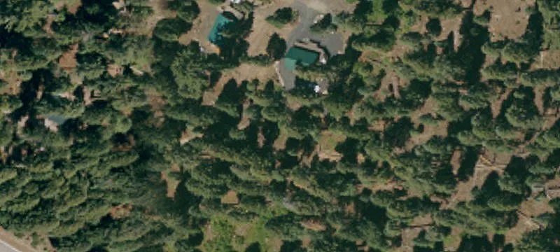 638 Ponderosa Way