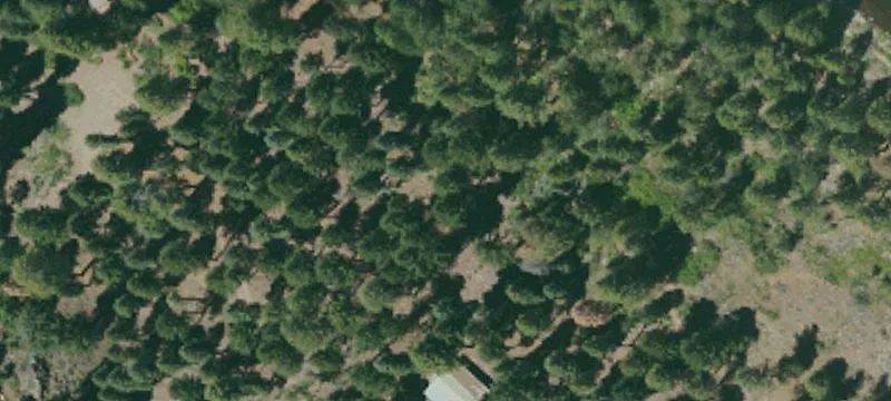 606 Cp Layman Rd