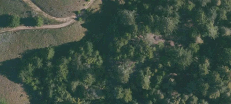 22991 Greenwood Rd