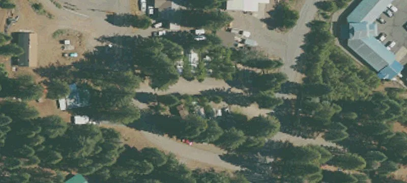 409 Ponderosa Dr
