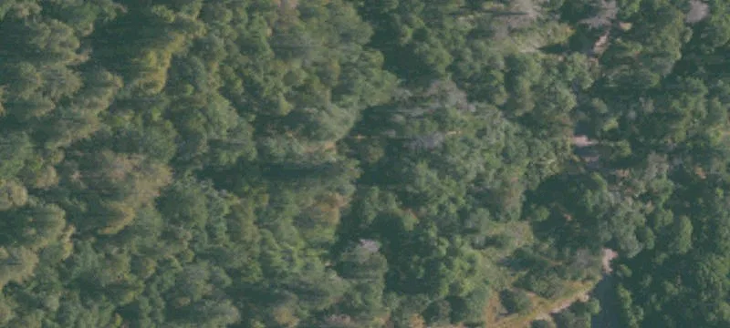 18501 Van Zandt Resort Rd