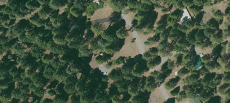 387 Cp Layman Rd