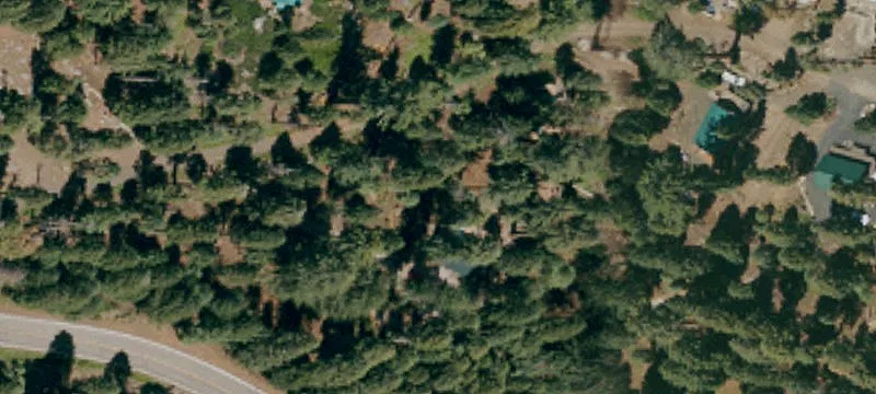 566 Ponderosa Way
