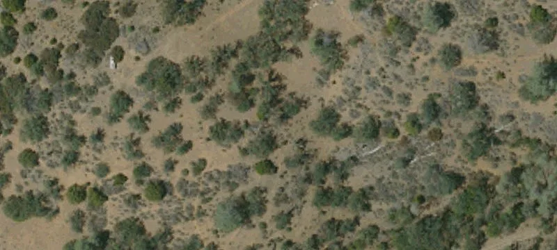 19066 Mines Rd