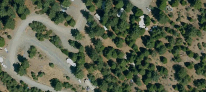 2305 Grizzly Rd