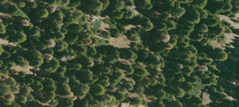 Soda Springs, CA 95728