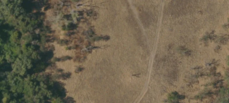 Glenn, CA 95943