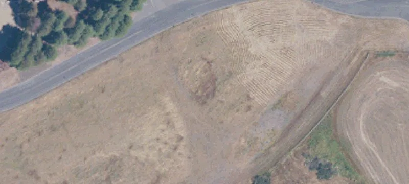 Rohnert Park, CA 