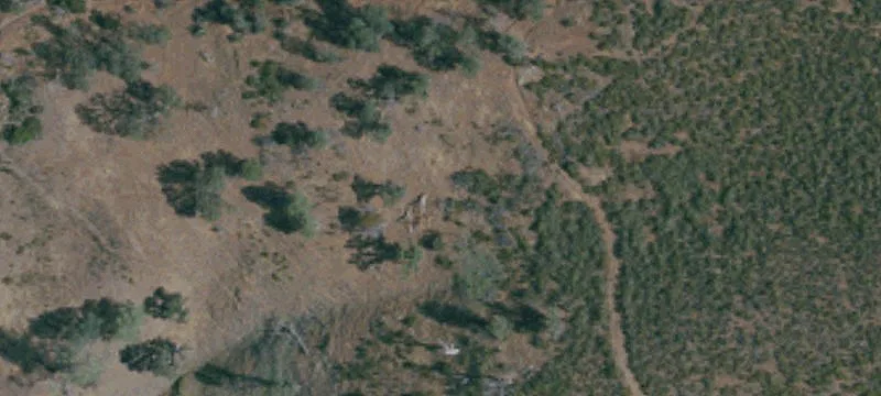 24251 Hwy 20