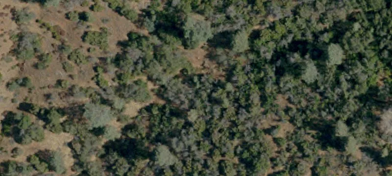 Coulterville, CA 95311