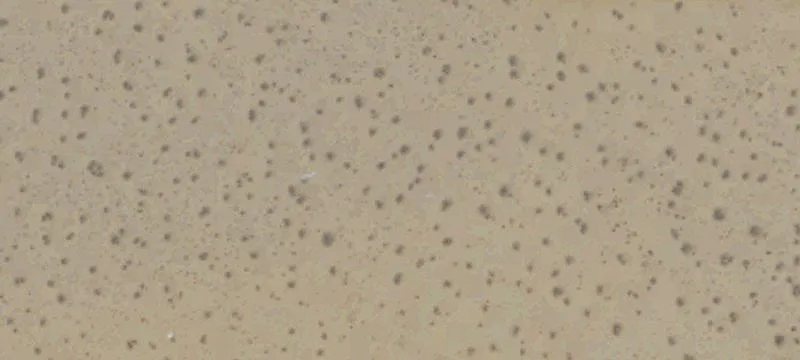 California City, CA 93505