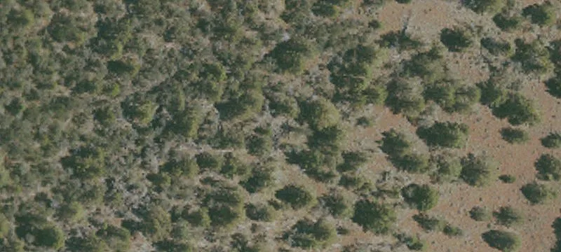 Madeline, CA 96119