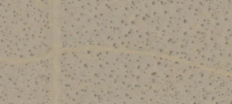 California City, CA 93505