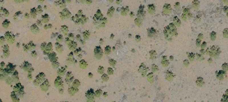Susanville, CA 96130