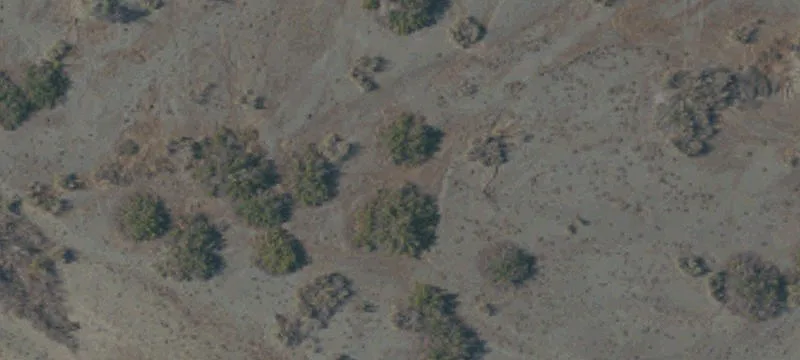 Orland, CA 95963
