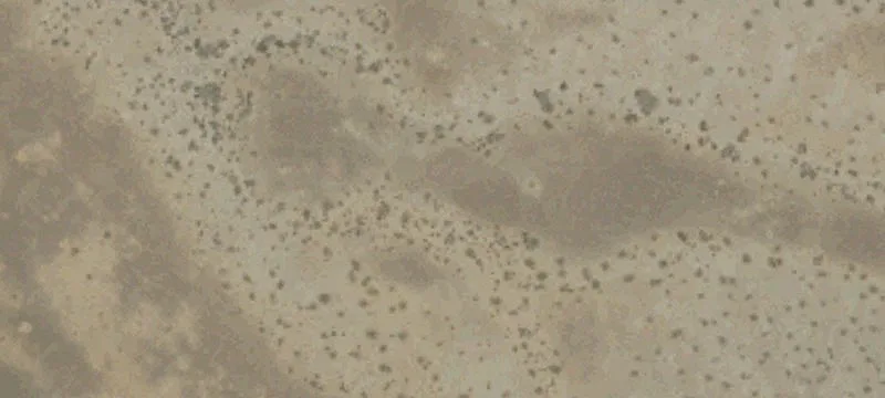 Desert Center, CA 92239