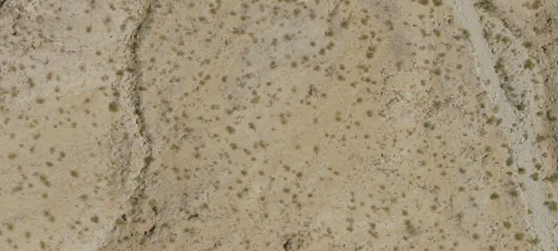 Desert Center, CA 92239