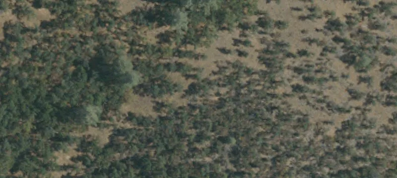 Oak Run, CA 96069