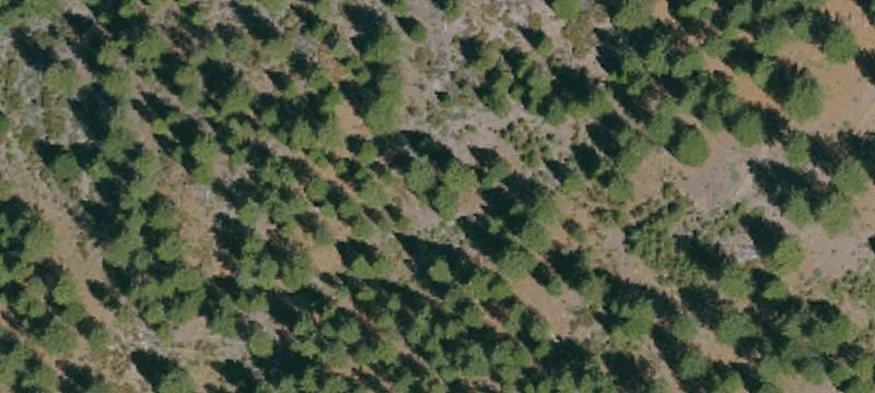 Graeagle, CA 96103