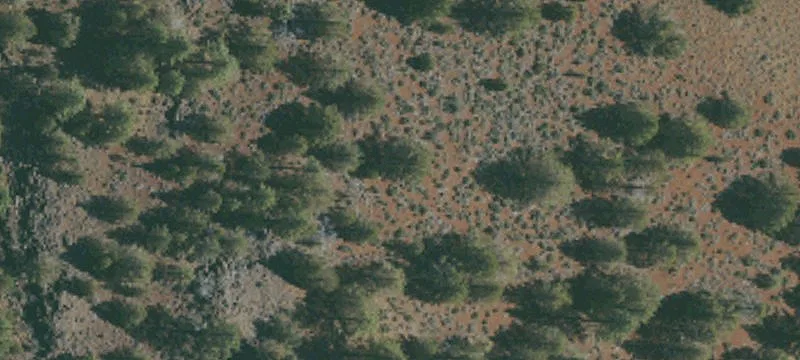 Litchfield, CA 96117
