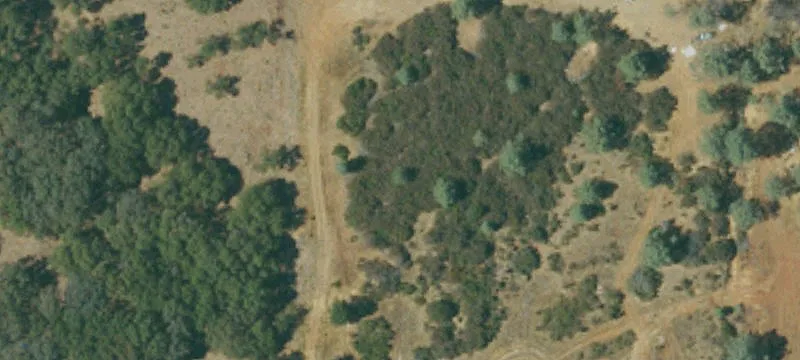 Shingle Springs, CA 95682