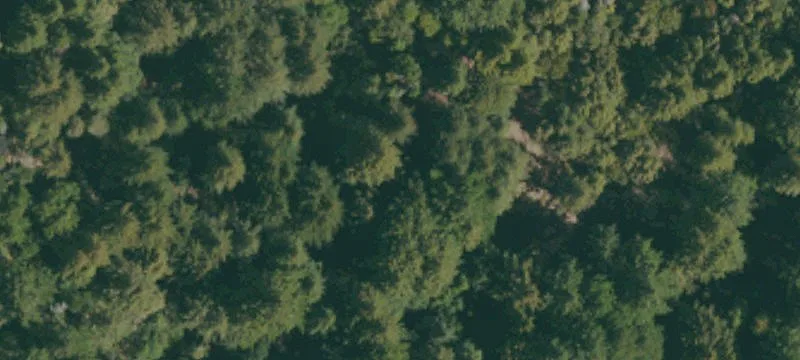 Boulder Creek, CA 95006