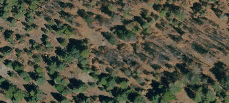 Westwood, CA 96137