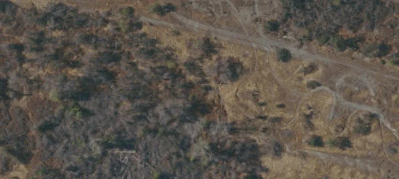 Orland, CA 95963