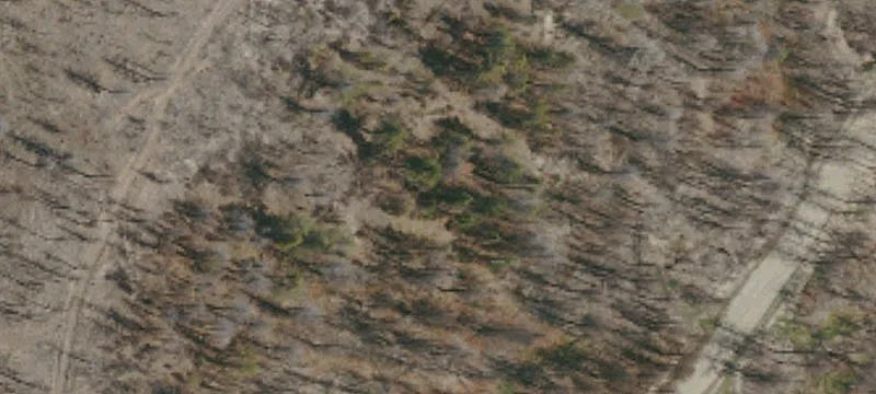 Elk Creek, CA 95939