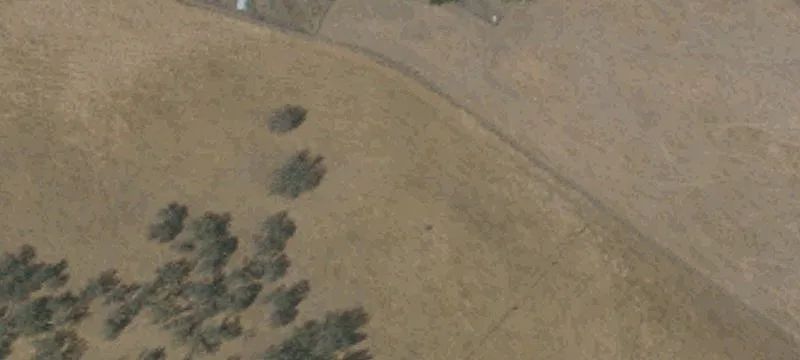 Willows, CA 95988
