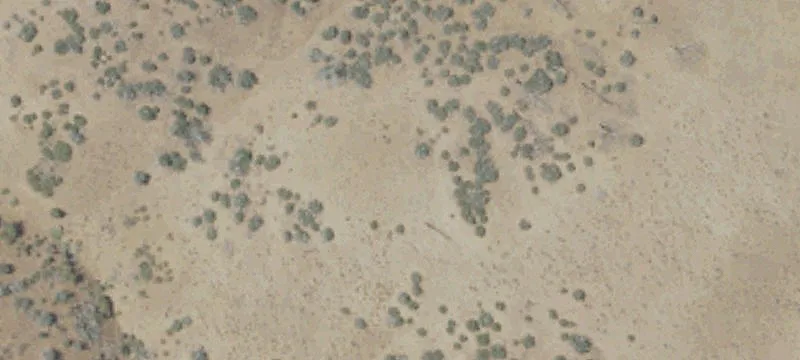 Tehachapi, CA 93561