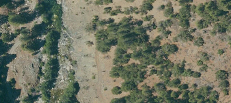 Alleghany, CA 95910