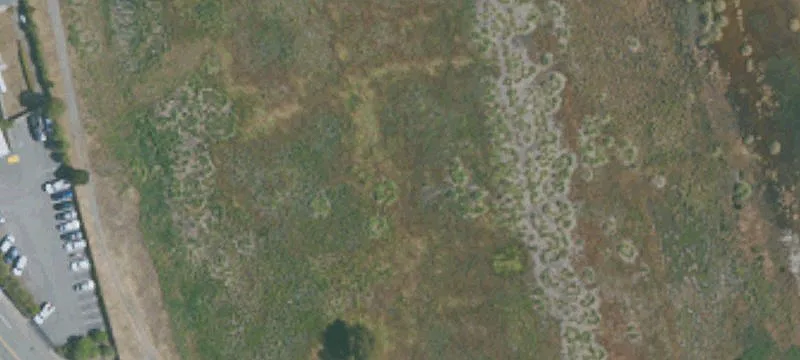 San Rafael, CA 94901