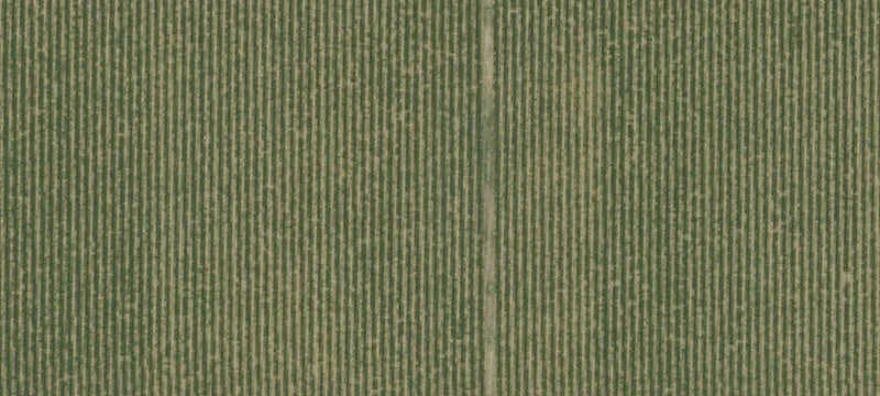 Huron, CA 93234